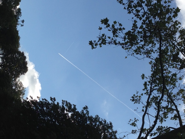 2014-10-03 005 (640x480)