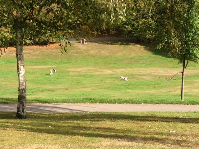 2014-10-03 010 (640x480)